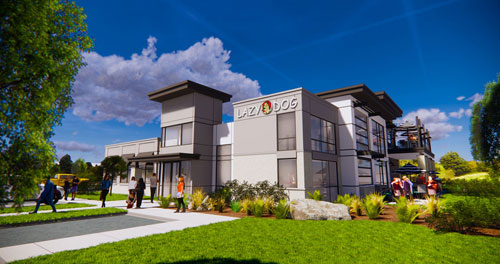 The Lazy Dog Restaurant Project Photo